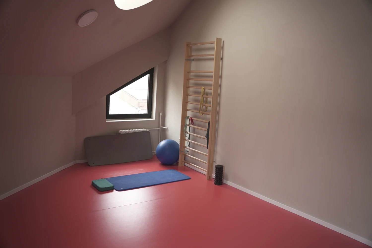 Manja sala pod kosim krovom — švedske lestvice sa elastičnim trakama, lopta za vežbanje, valjak i strunjača.